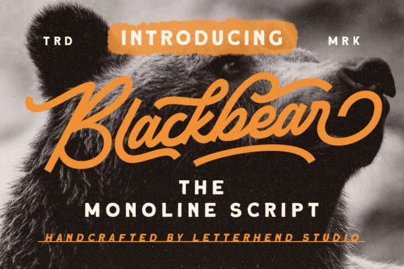 Blackbear: A Stylish Script Font for Modern Marketing Visuals
