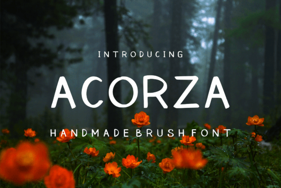 How Acorza Transformed My Bakery’s Brand with Handwritten Charm
