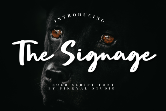 The Signage: A Bold Script Font for Modern Brand Campaigns